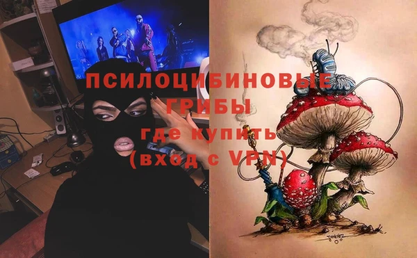 герыч Алексин