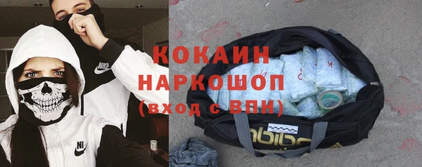 гидропоника Ладушкин